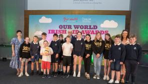 Prestigious 'Equality for All' award for Offaly school