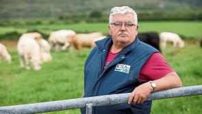 Rethink of policy is needed - ICSA