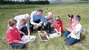 Deepening local connections to peatland habitats through schools in Leitrim
