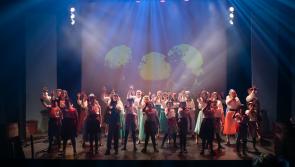 Watch: Laois arts centre in Portlaoise getting a new look