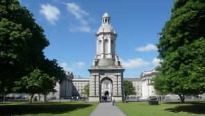 Maynooth among seven Irish universities rise in worldwide rankings, with one in top 100