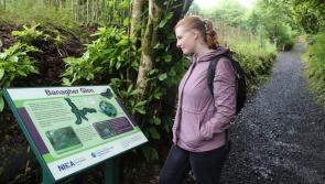 New enhanced visitor experience for popular County Derry woodlands