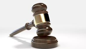 Leitrim Businessman's covid-inspired new auction website