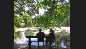 Observing from afar at Bench Tales in the Castle Park in Kilkenny