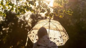 WEATHER: Brollys up! Scattered outbreaks of rain expected today (June 30)