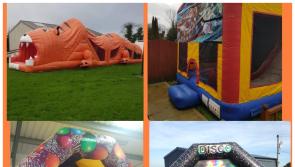 Laois Offaly Gardai issue appeal over unusual theft 