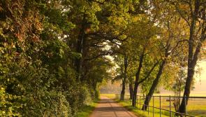 Sports facilities should be for all Tipperary people to use not just elite athletes 