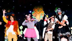 IN PICTURES: Rosemount Primary School P7 students star in 'Madagascar'