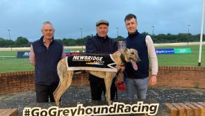 Gone to the dog: Seven Offaly winners