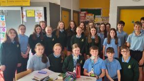 Offaly school celebrates a successful year of sport 