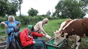 Large crowd attends Social Farming Open Day on Offaly farm