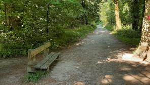 Work to start to enhance biodiversity in  Drumboe, Creggan and Monellan forests