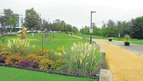 Reception for Tidy Towns members 