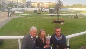 Gone to the dogs: Classic winner for Edenderry owner