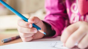 Number of Ukrainian students enrolled in Leitrim schools, revealed