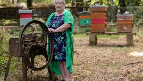 Life is a breeze for Tipperary artisan Maggie on the Knockmealdowns