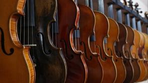 WHATS ON: Free Irish Traditional Music Summer Event at Altamont Carlow