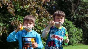 Experience a Magical Day of Fun and Adventure at Strokestown Park FunFest