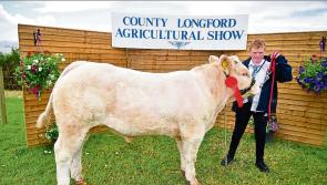 First prize winner at Longford Agricultural Show 2023