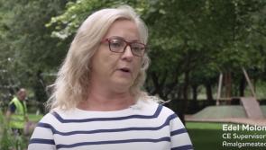 Watch: Laois town's amenity park developed as an haven for wildlife