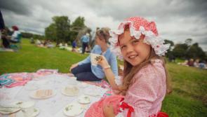 Big Beautiful Vintage Picnic returns to Birr Castle Demesne