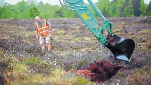 Bord na Móna seeks public feedback for mid Longford bog