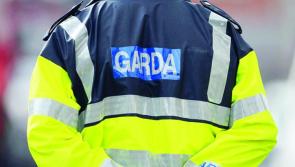 Waterford gardaí warn of rogue traders targeting vulnerable people