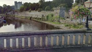 Tourists ‘terrorised’ and one business forced to move operations in Kilkenny