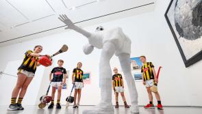 An exhibition exploring the spirit of sport at Kilkenny's Butler Gallery 