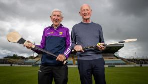 Kilkenny legends to feature in Hurling for Cancer 2023 