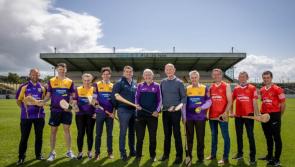 SPORT: Carlow hosts star-studded lineup for Hurling for Cancer Research 2023
