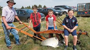 Laois village set to bloom on mountain festival day
