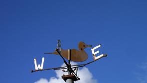 Weekend Weather: Groundhog Day or something nicer? Met Éireann has the update