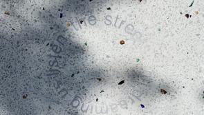 In PICTURES: Portlaoise has new work of art with Italian twist at new Laois Library HQ 