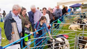 Tullamore Show open to visitors from 8.30am today