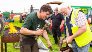 Tullamore Show is a great coming together of country and town