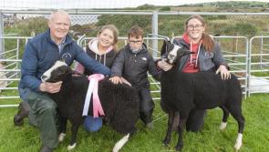 In pictures: Crowds flock to Ardara Agricultural Show