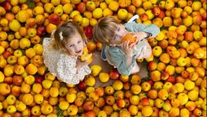 Waterford Harvest Festival announces packed programme for September 