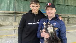 No kidding - Skerries Town want to get Finn Harps' goat up