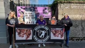 Animal welfare protest at Derry court