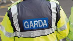 Gardaí in Kilkenny ask firearms owners to submit completed licence renewals