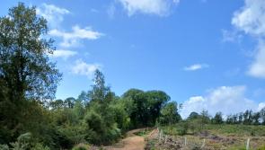 Tipperary Heartlands: Walking your troubles away in the heart of the county! 