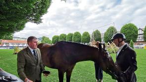 Longford at RDS horse show