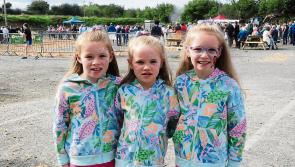 Photo gallery from this year's Mohill Agricultural Show