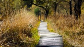 Entrance to Co Kilkenny nature reserve to receive upgrade