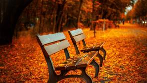 Roscrea's Emma Coonan's monthly column - 'Finding your Wellbeing Wings this Autumn'