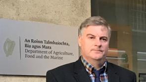 Longford Farming: Factory beef prices hardening - time to push for more