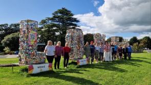 Huge art installation is set up in Carlow Town to symbolise solidarity against violence
