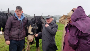 WATCH: 'The weather won't put you off' - President Michael D Higgins at National Ploughing Championships