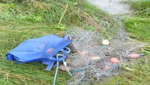 State agency seizes net as part of wider bid to tackle 'illegal fishing' in Kilkenny